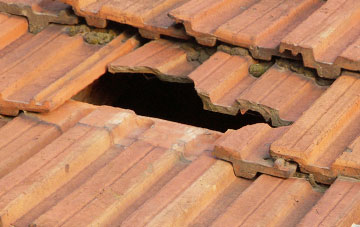 roof repair Castlemilk